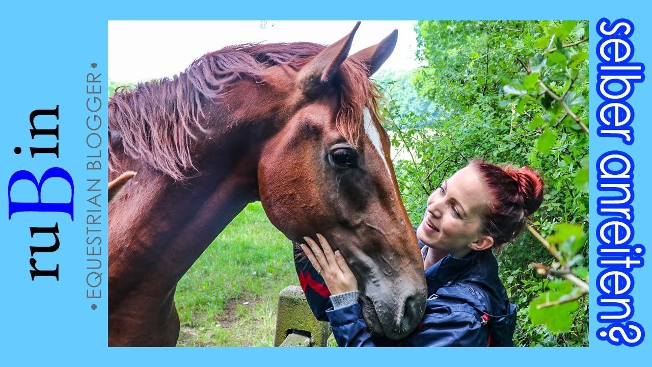 Q' - selbst anreiten oder weggeben? | pferdia