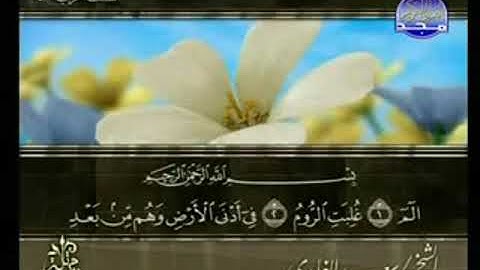 سورة الروم من الآية 1 الى الآية  24