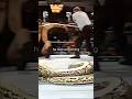 5 Times WWE Stunts WENT TOO FAR! 🐍😱
