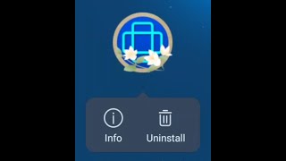 [BYD Atto 3] Screen rotation fix - For apps that force a specific screen orientation screenshot 5