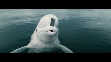 NerdWallet Super Bowl 2025 TV Spot – “Genius Beluga”