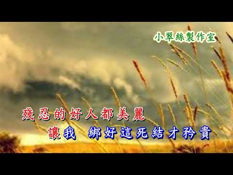 情意結 - 卡拉OK純音樂