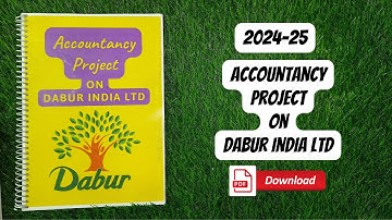 Ratio Comparative & Common Size Statement Project || Dabur Ltd || Accountancy Project|| class 12 PDF