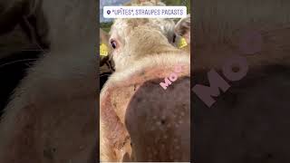 Vidzeme Nature - Gastro Trip With Tegernsee Kitchen