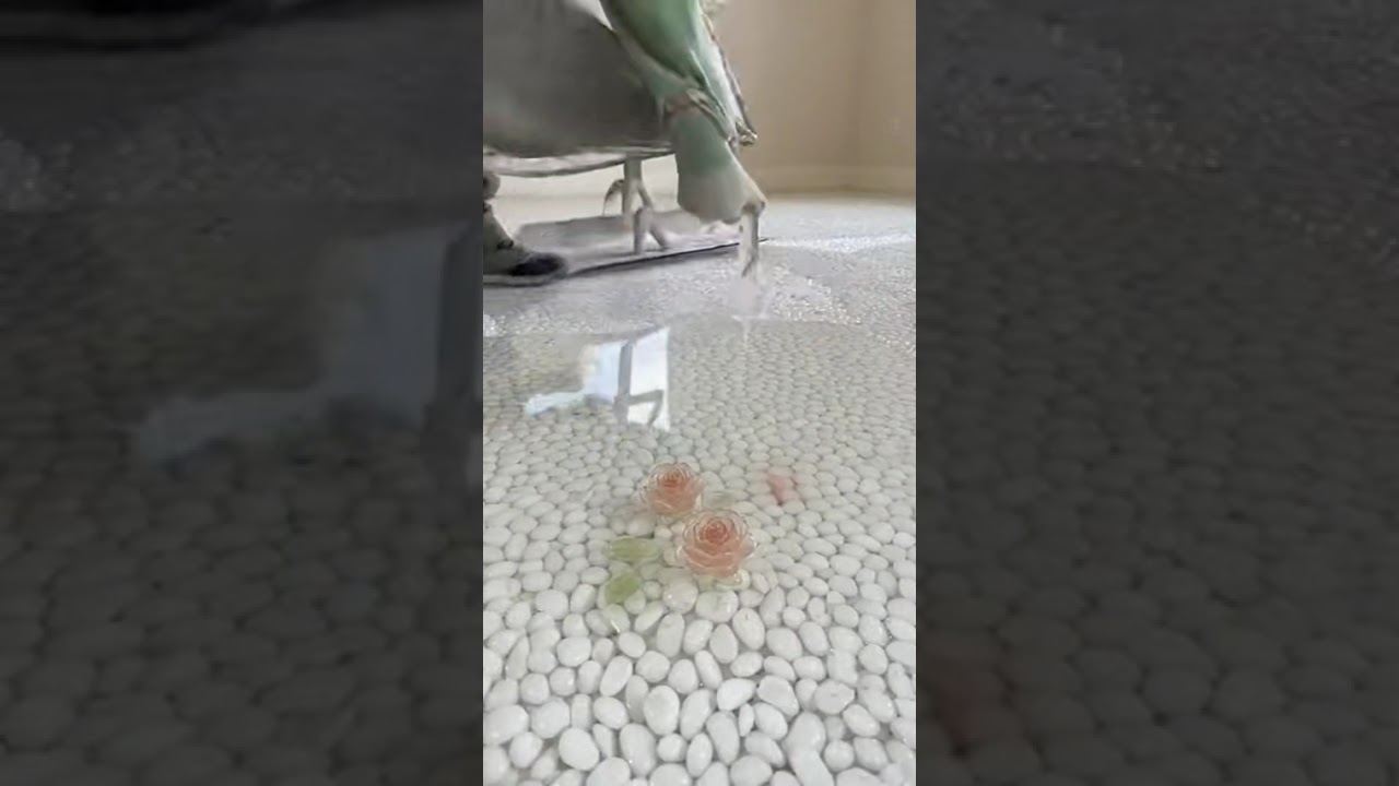 Empty Bedroom to Luxury Floral Epoxy Paradise | Ultra-Fast Timelaps 