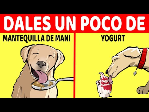 Video: ¿Las bayas son buenas para los perros?