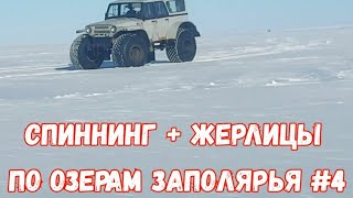 Спининг и жерлицы. По озерам заполярья #4