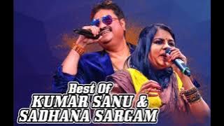 Dil Tera Deewana Hai | Kumar Sanu  | Sadhana Sargam | Bollywood Hindi Romantic Songs | Audio Songs