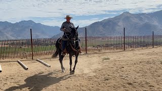 Chinaco - Finding the Balance in the Hackamore