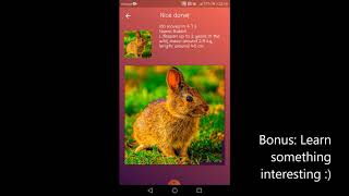 How to solve a 4x4 slide puzzle in under 1 minute. screenshot 5