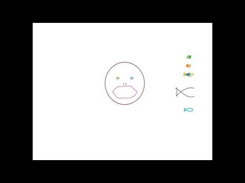 radiohead weird fishes animation and matplotlib python