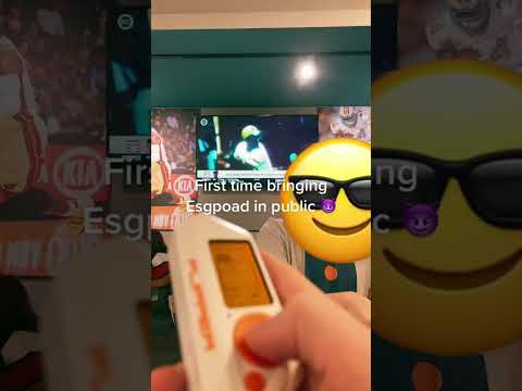 Flipper Zero Hacking In Public