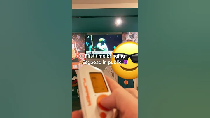 Flipper Zero Hacking In Public