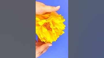 1-Minute Craft: Tissue Paper Flower for Kids! #kidscrafts #kidsactivities #diy