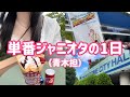 少年忍者のライブに行ってきた