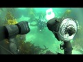 Diving at Anacapa Island