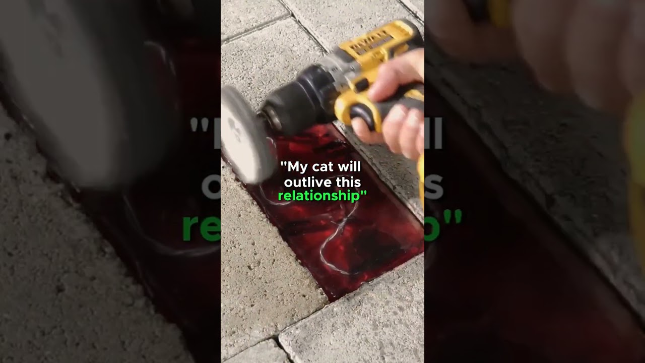 My cat will outlive this relationship 