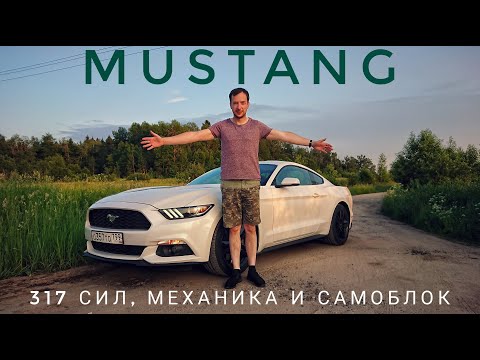 Video: Mustand Igavikust