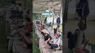 PMC KAMPUS BKT KOLAM A B#IKANMAS#IKANBAWAL#bktcirata