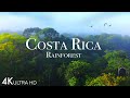 Costa Rica Rainforest 4k - Happiest Country On Earth With Exotic Wildlife | Scenic Relaxation Film