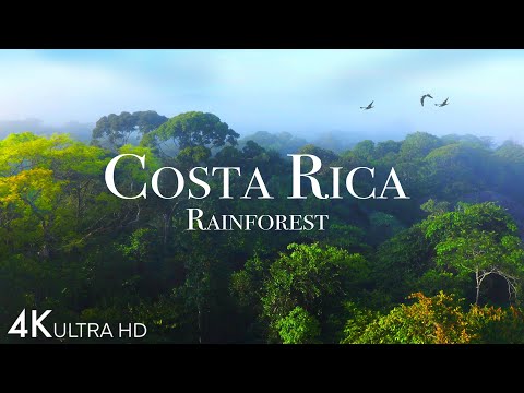 Costa Rica Rainforest Happiest Country On Earth With Exotic Wildlife Scenic Relaxation