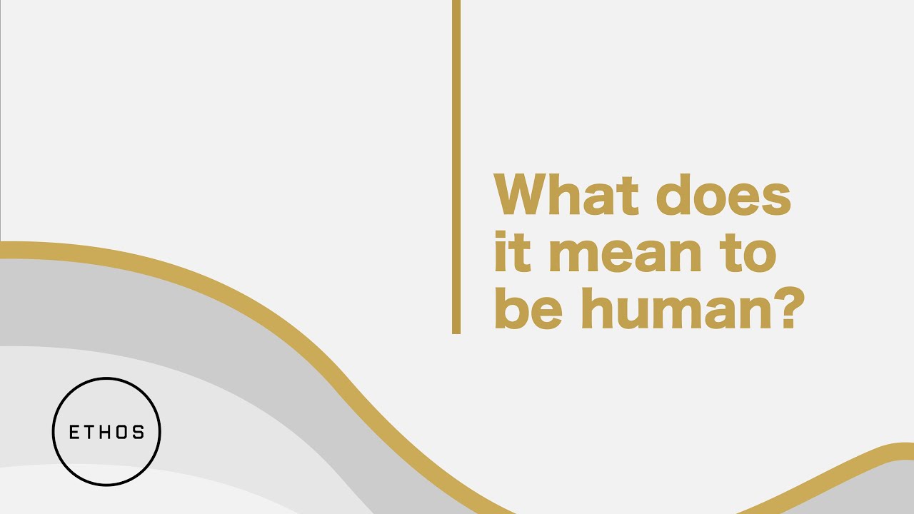 What Does it Mean to be Human? Gods plan for work, rest, & life // Why Am I Here?