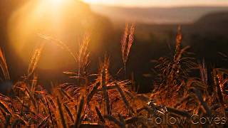 Download lagu Hollow Coves - Interlude into These Memories