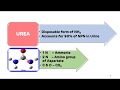 Urea Cycle (Formation of Urea)  || NEET PG || Biochemistry || Dr Amit Maheshwari