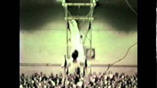 Parallel Bars