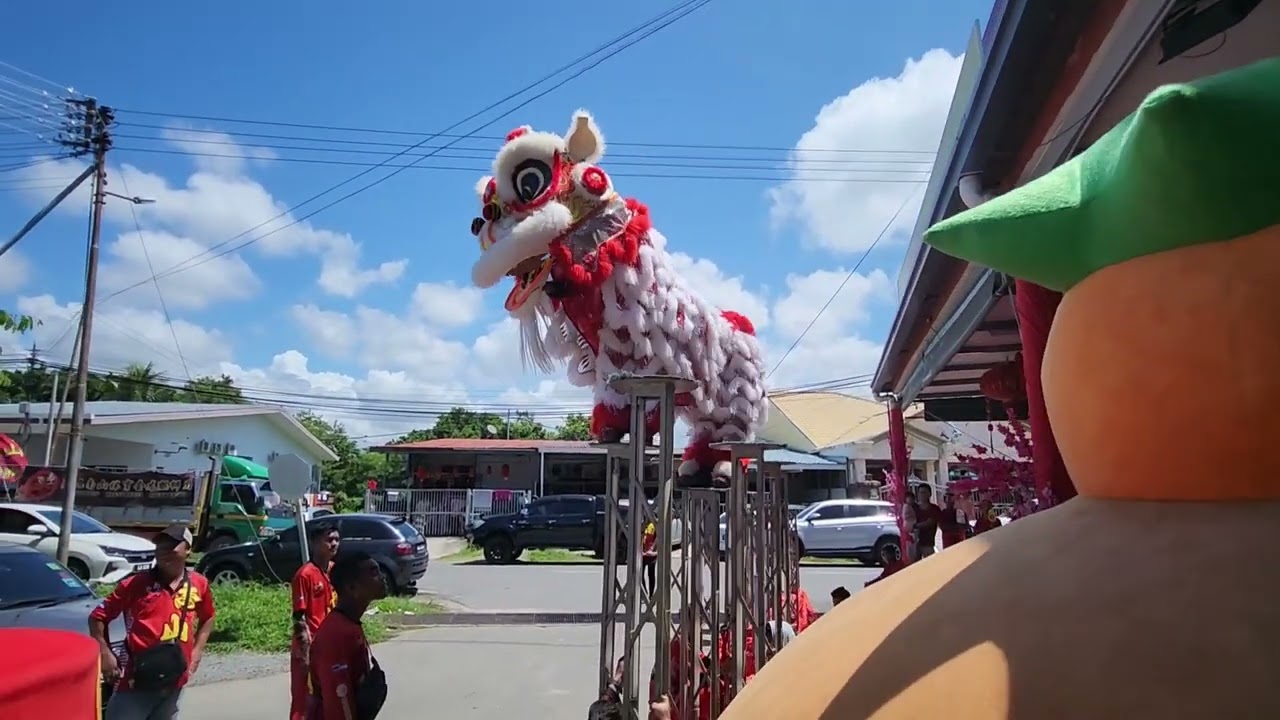 nan Shan lion dance troupe perform in Kota Kinabalu