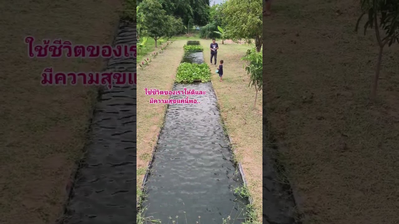 ความสุขที่เราสร้างเองได้ #บรรยากาศฮีลใจ #ฮีลใจ #nature #canal #คลองไส้ไก่ #garden #automobile