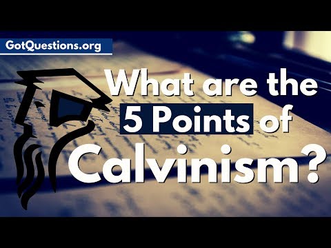 ვიდეო: რას ნიშნავს Calvinism Tulip?