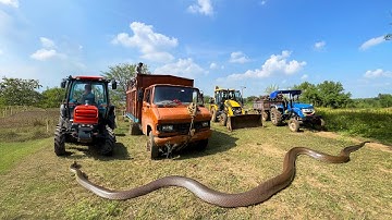 Sonalika Tractor And Jcb Backhoe Pulling Out Truck Mud | Jcb Rescue | Jcb video | Tractor Video