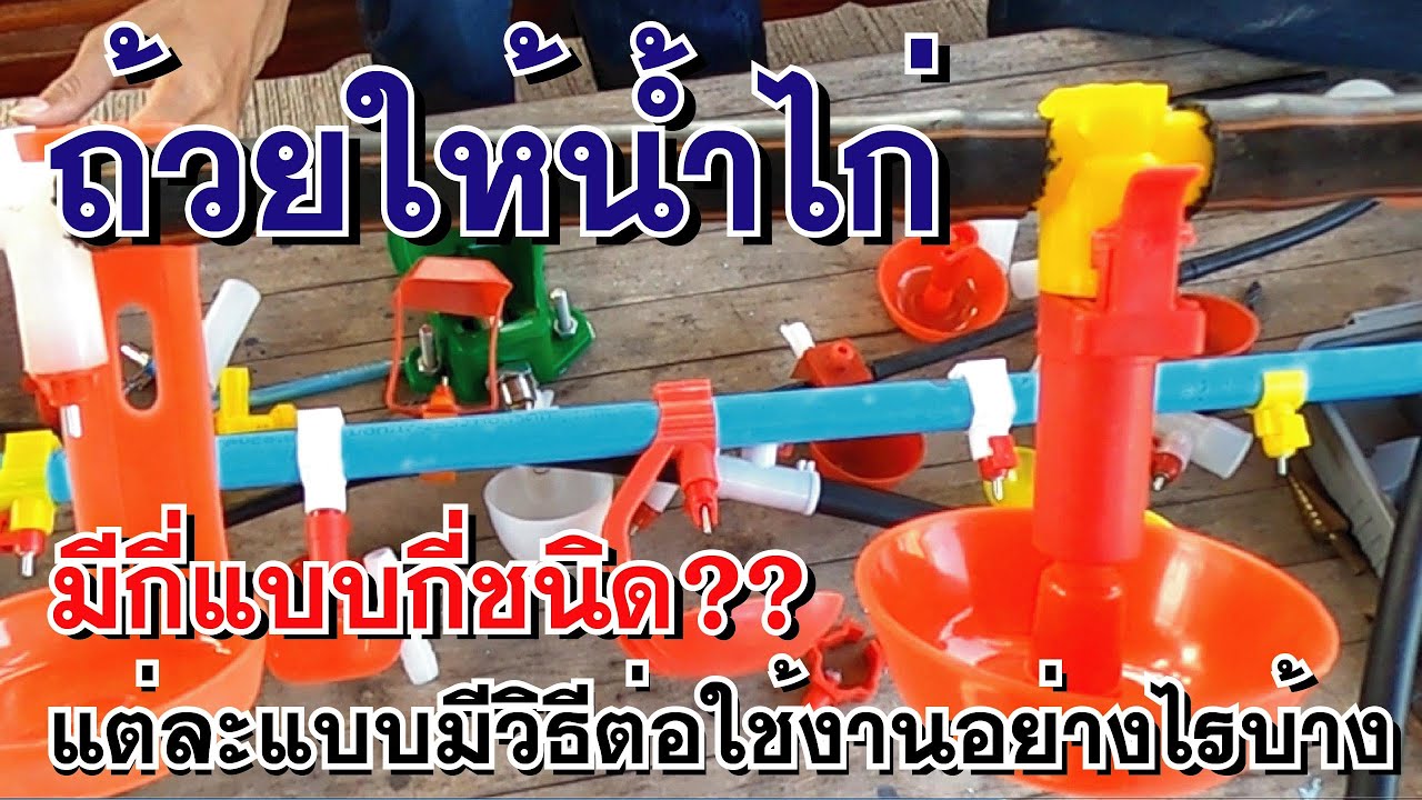 Сколько существует видов поилок для курицы? Как их подключать и использовать? Давайте посмотрим н...