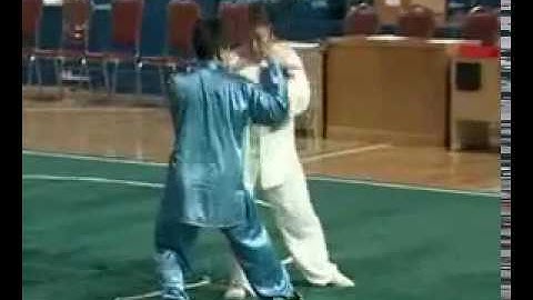 Tai Chi Push Hands Applications Fu Sheng Yuan