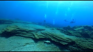 Buceo en Las Galletas,Tenerife 30 8 2023