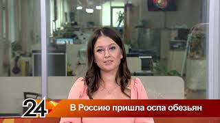 Главные новости - В Россию пришла оспа обезьян