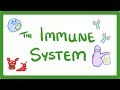 The Human Body's Defense Mechanisms Against Pathogens
