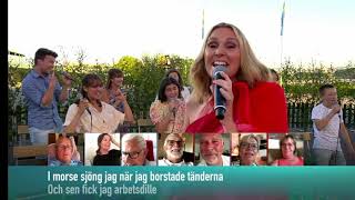 det börjar verka kärlek banne mig - Allsång på Skansen 2020