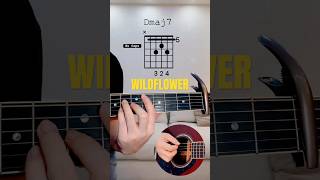 Download Lagu WILDFLOWER By Billie Eilish | GUITAR TUTORIAL | #guitar #billieeilish #beginners #easysongs MP3 Download Lagu WILDFLOWER By Billie Eilish | GUITAR TUTORIAL | #guitar #billieeilish #beginners #easysongs MP3