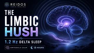 The Limbic Hush | 1.2 Hz Delta Sleep | Black Screen Nervous System Calm screenshot 5