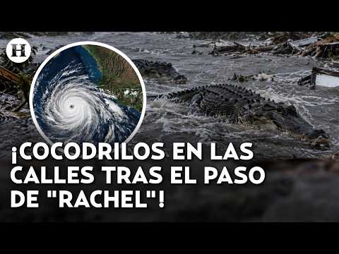 Giant waves batter the coast! This is the initial damage caused by Hurricane Rachel