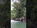 Jumping From a Tree #dive #tree #jump #jumping #cliff #cliffjumping #tall #high #love #sports #fyp