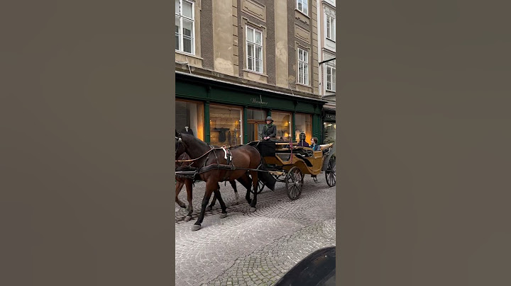 Salzburg, Austria #salzburg #austria #carriage #travel #aristocratic #travelblogger