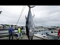 Subasta récord de un atún rojo: se ha vendido por más de 712.000€ en Japón