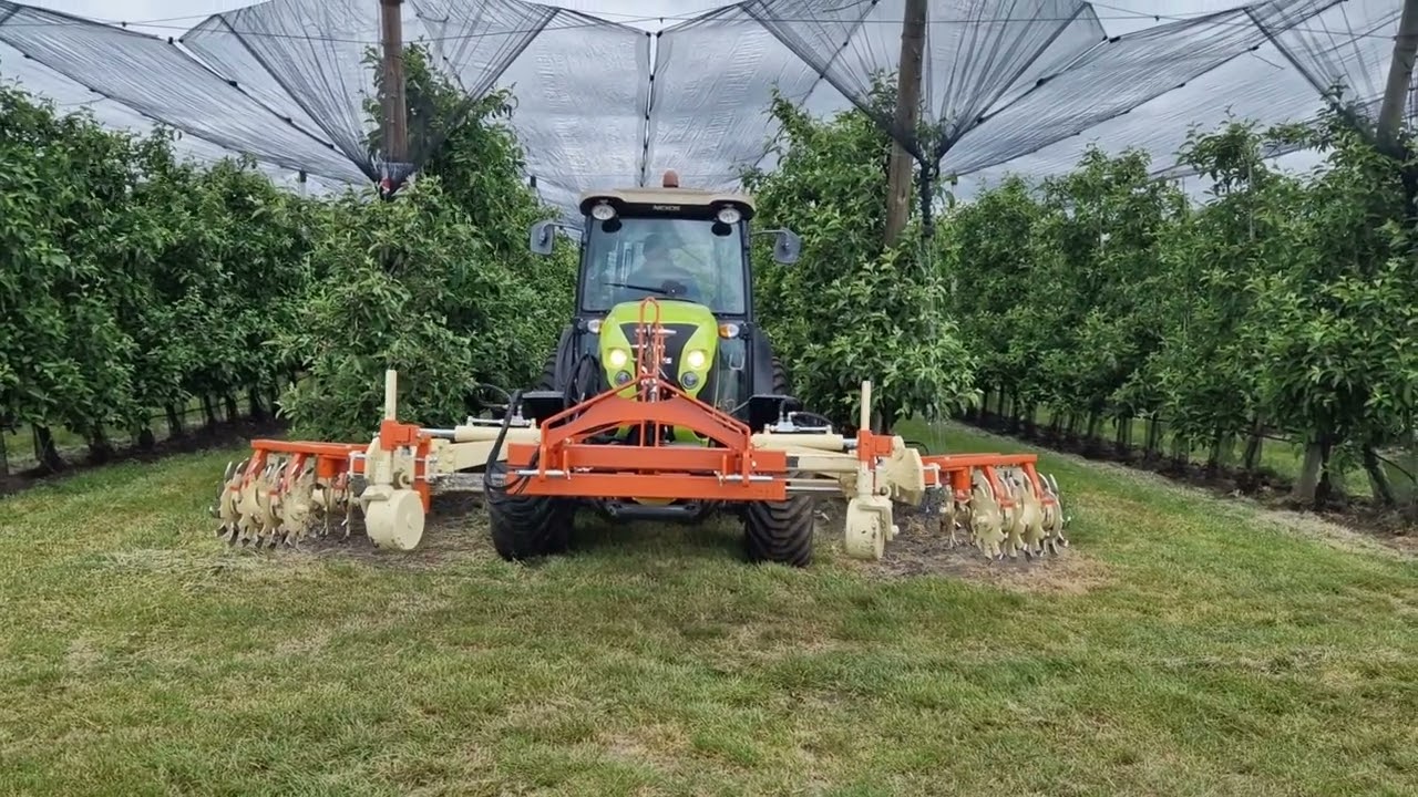 Sadařský rám BRAUN