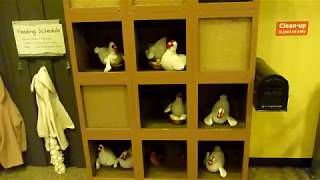 The excitable chicken by STWill2011 775,071 views 5 years ago 27 seconds