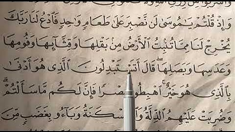 تصحيح تلاوه واستخراج احكام التجويد من سوره البقره ايه.       61.  صفحه 9