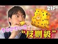 【破門の危機!?】桝アナが『ミナミハコフグの幼魚』を折ってみた!桝アナの折り紙動物園#19【ZIP!公式チャンネル】【#家で一緒にやってみよう】