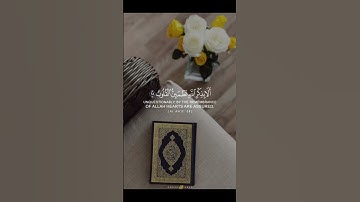 ☘️سورة الرعد☘️ #القرآن_الكريم #اكسبلور #الله #تيك_توك #لا_اله_الا_الله #لايك #صباح_الخير #ترند